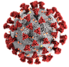 coronavirus-image